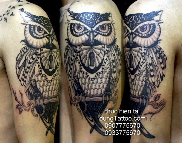 Hình xăm chim cú uyên bác cành tay Dũng thực hiện 0907775670