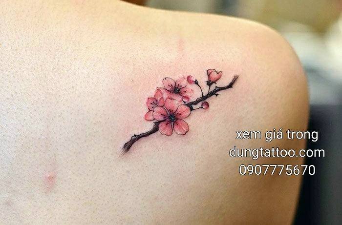 hinh xam hoa dao lap seo dung thuc hien 0907775670